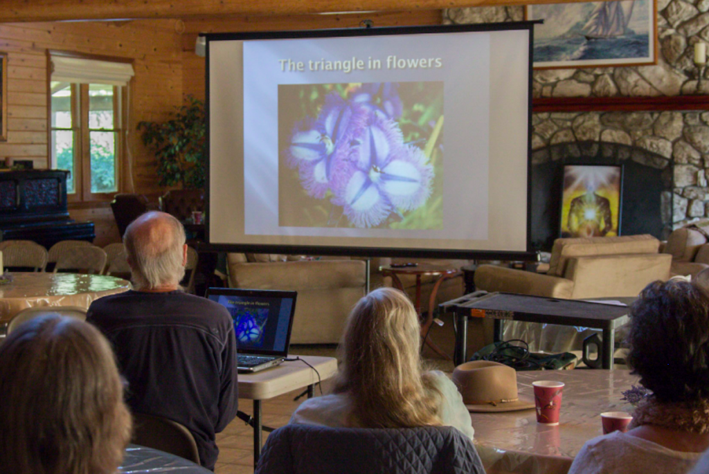 sacred-geometry-slide-show