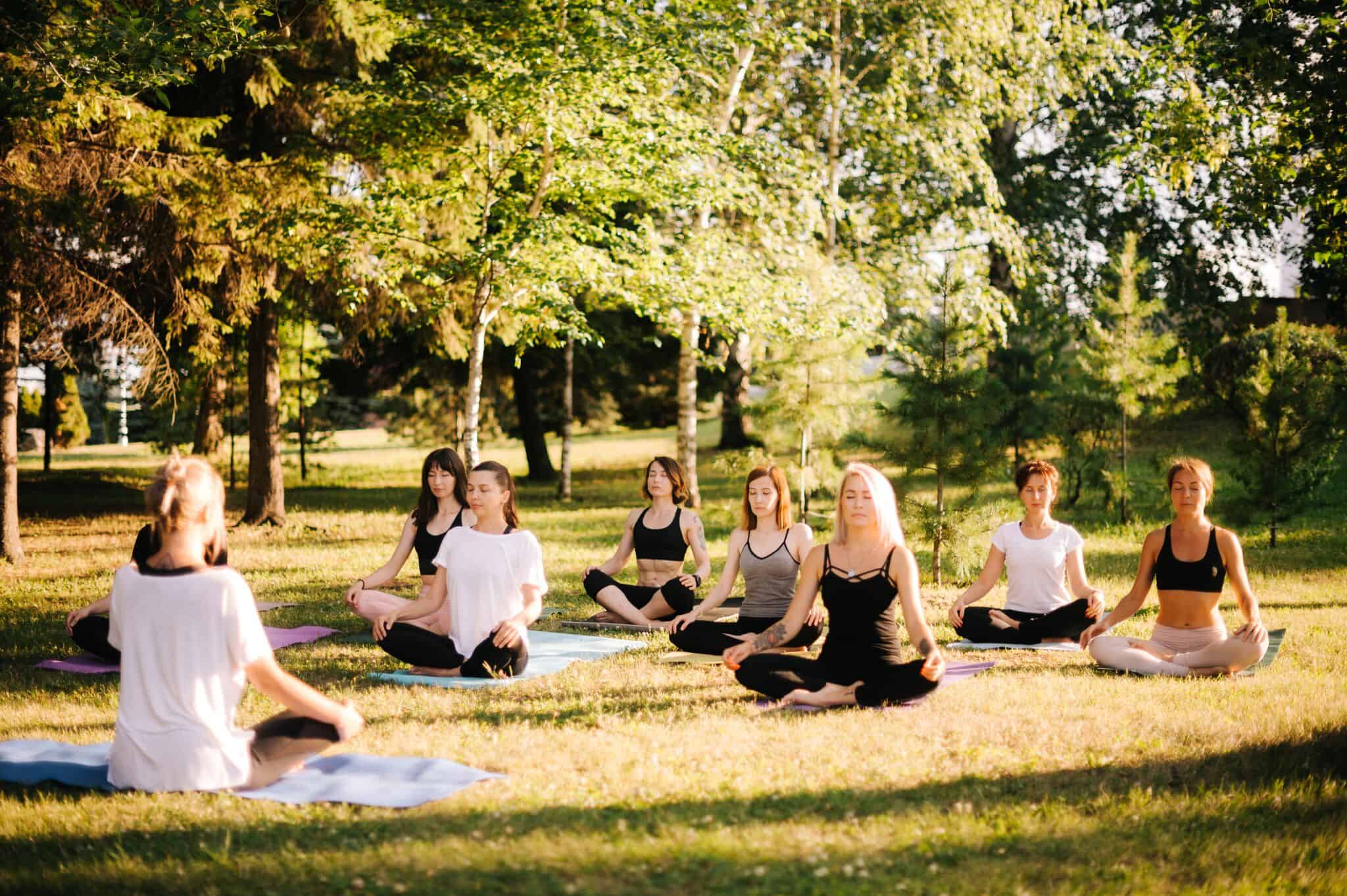 200 Hour Yoga Teacher Training Sunburst