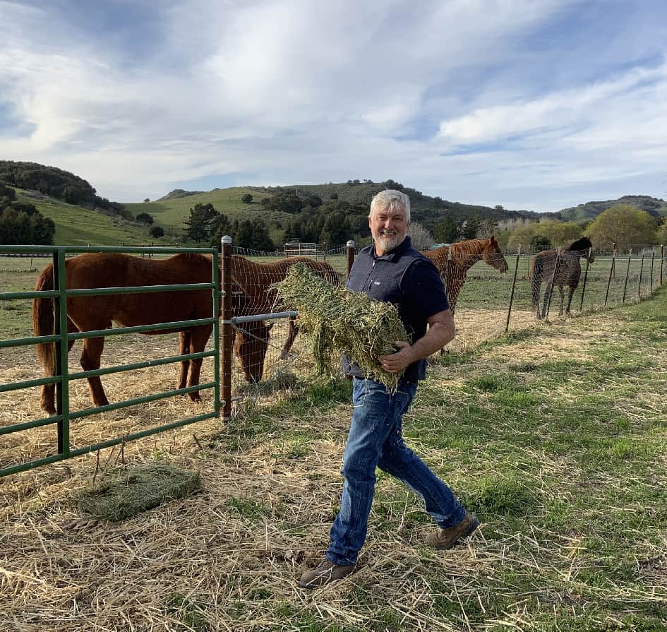 Heiko feeds horses