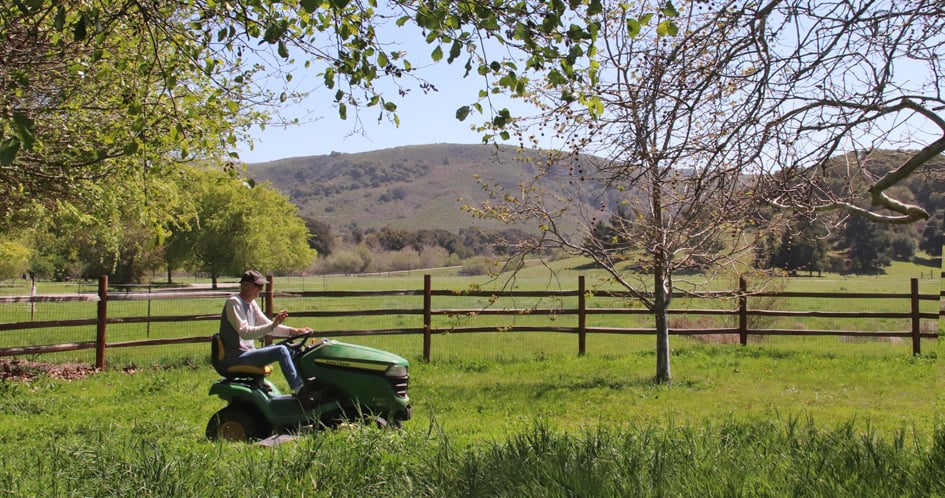 Mowing Grass