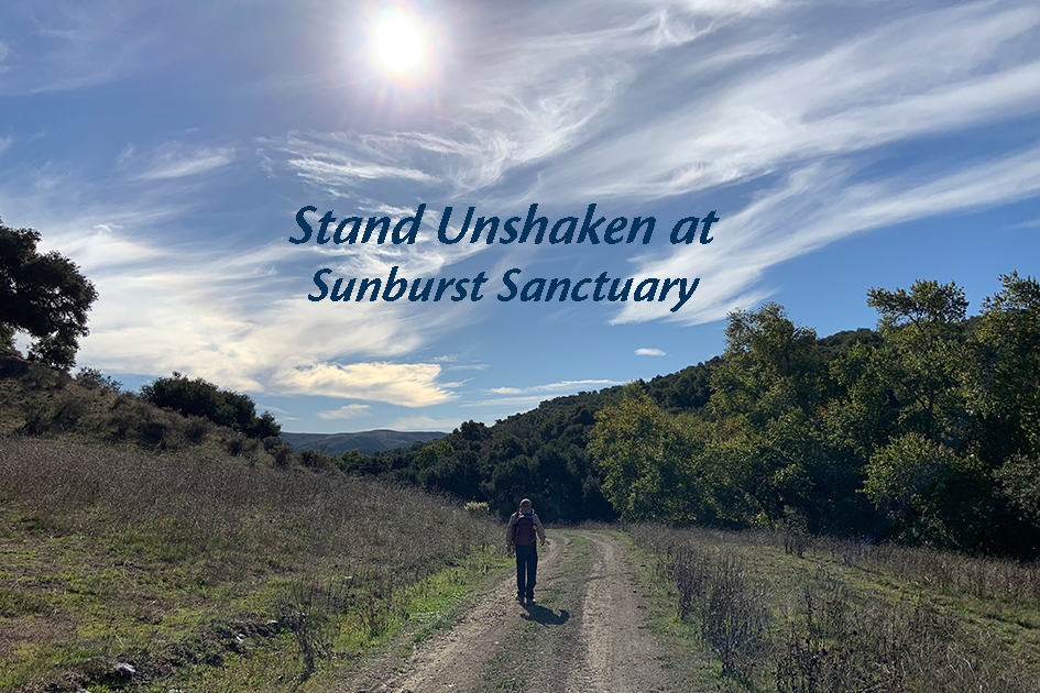 Light on Sunburst Sanctuary – Stand Unshaken