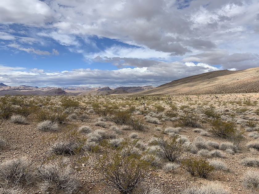 Southern Nevada Desert