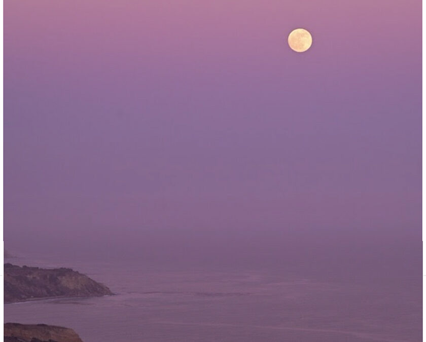 Full Moon in Lilac Sky
