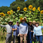 Autumn Harvest Garden Tour