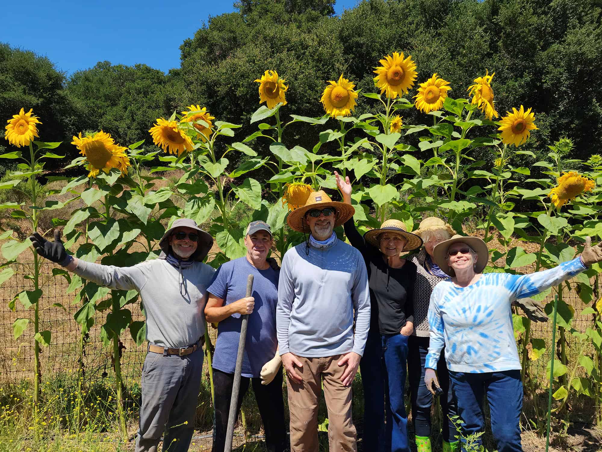 Autumn Harvest Garden Tour