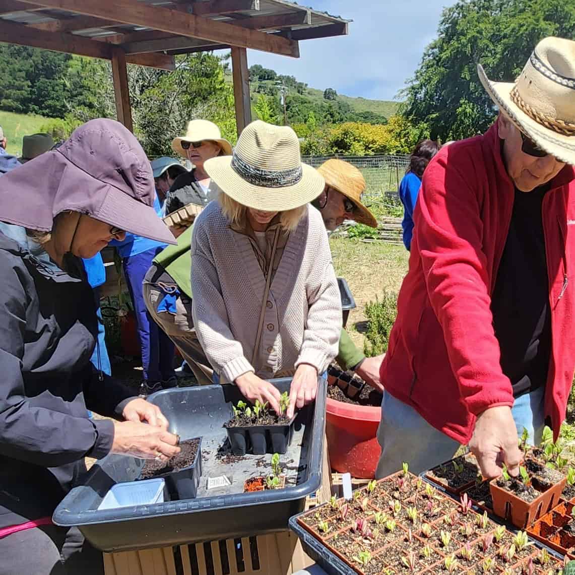 Spring Garden Experience