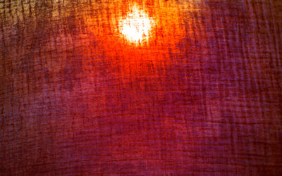 The Inner Veil